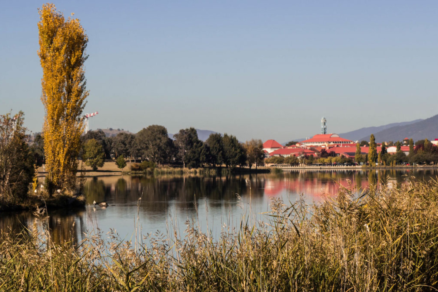 Tuggeranong